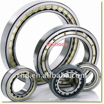 Single row Cylindrical Roller Bearing N1022-K-M1-SP